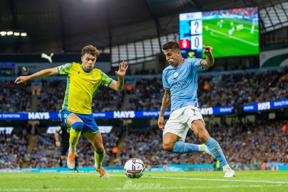 顺位上被鲍 顺位上被鲍