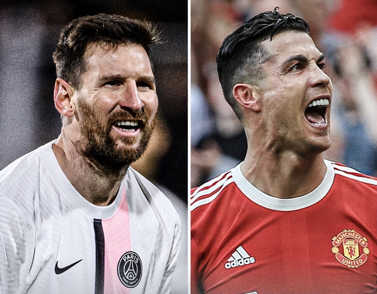 他在国际乒 他在国际乒