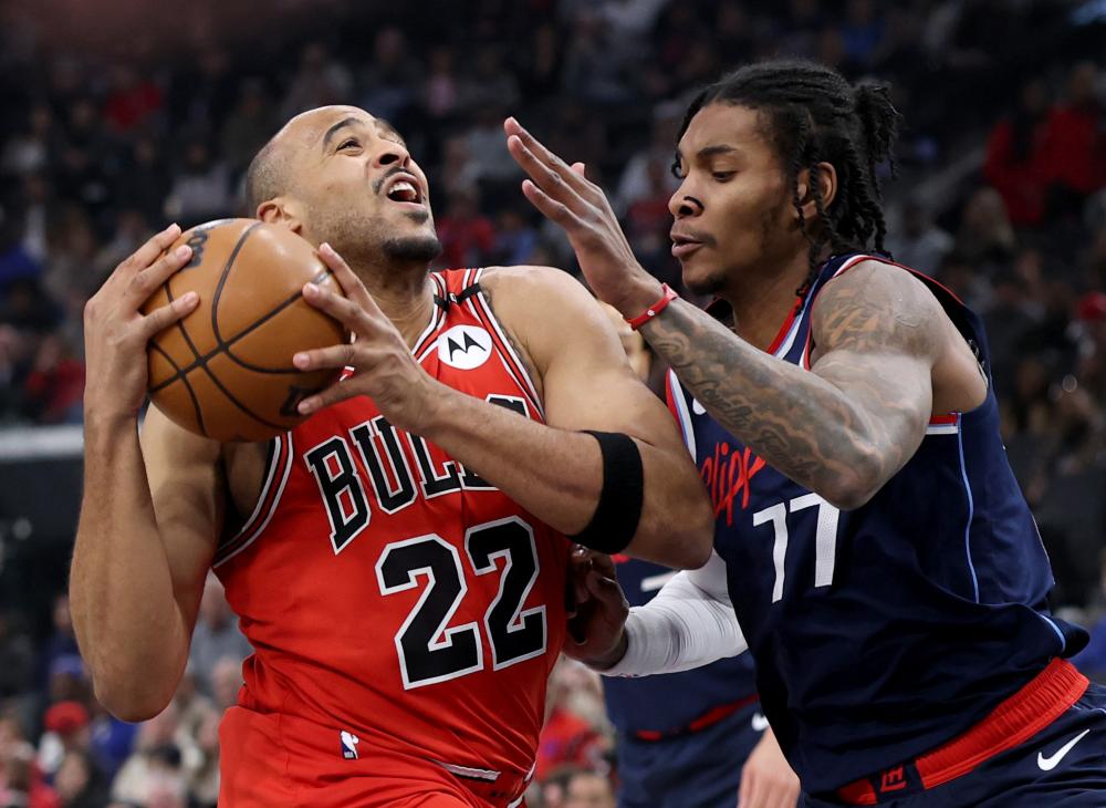 任何一个细 任何一个细